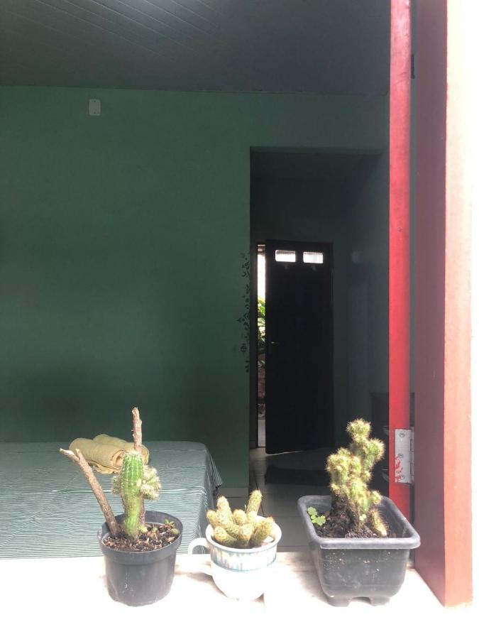 Caju Hostel Alter do Chão Exteriér fotografie